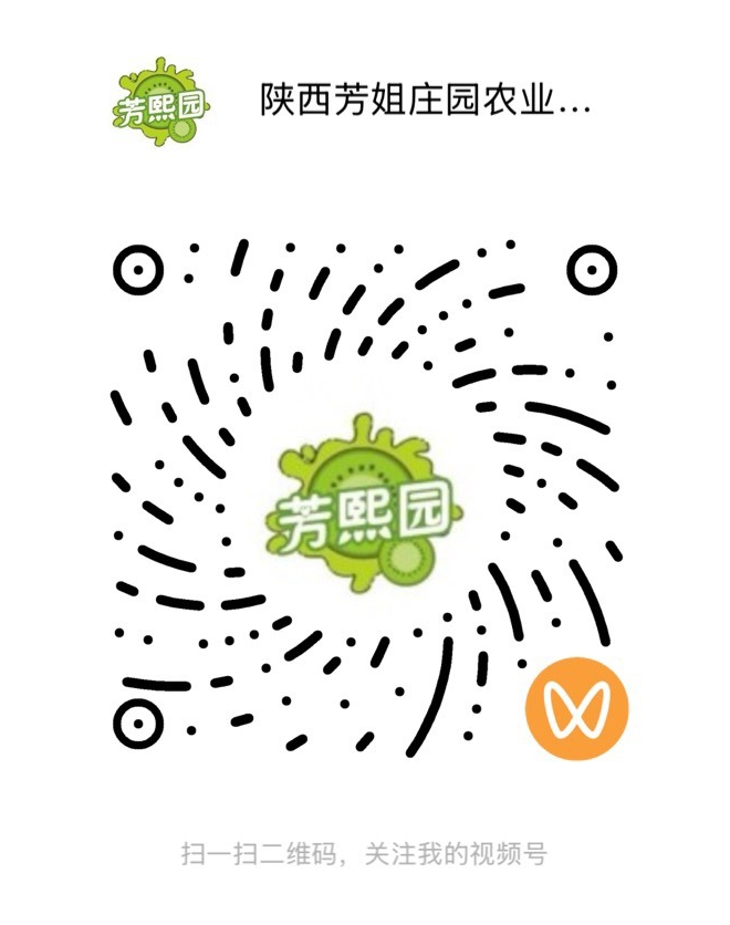 视频号