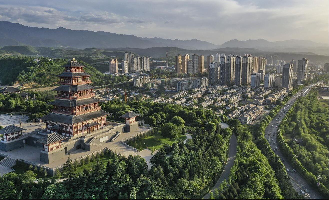 果园近景